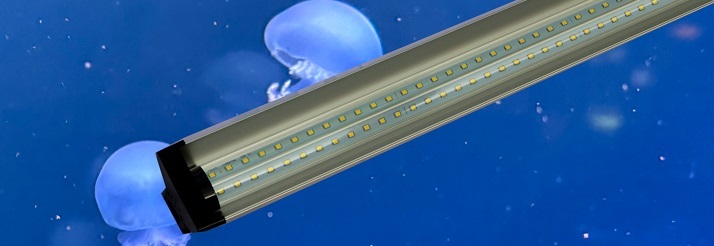 Aquarium LED-Beleuchtung für Einsteiger Aquarium LED-Beleuchtung für Einsteiger