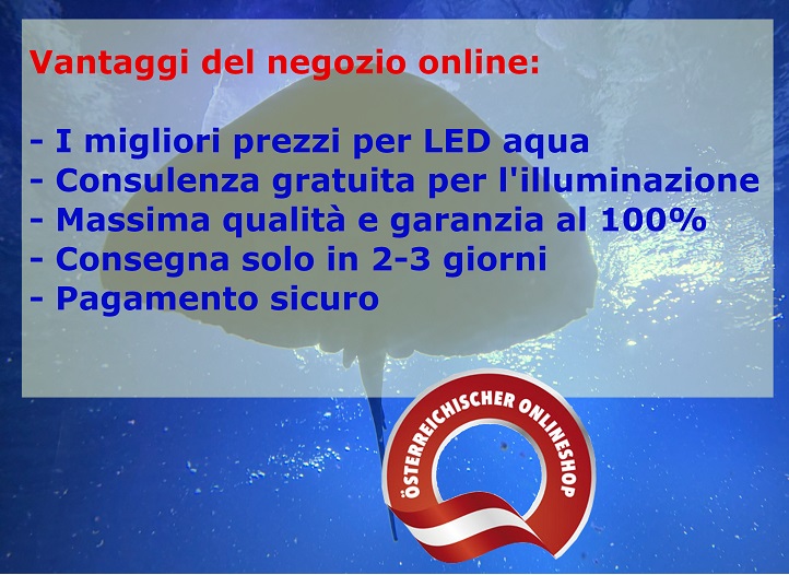 Vantaggi del negozio online Barra luminosa a LED per acquari Garanzia del miglior prezzo Aqua LED Expert Consulenza gratuita sull'illuminazione da parte di esperti Massima qualità e garanzia al 100% Consegna in soli 2-3 giorni e spedizione gratuita per ordini superiori a 100 Euro Pagamento sicuro